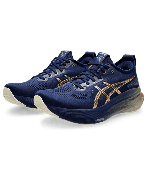 2 ASICA GEL KAYANO 31 PLATINUM